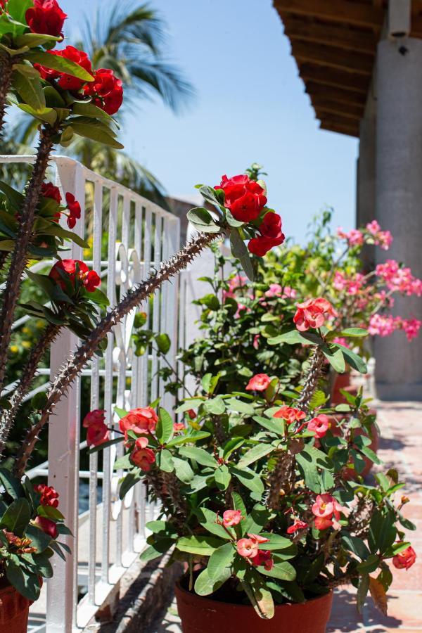 Casitas Miramar Puerto Vallarta Malecon Exterior photo